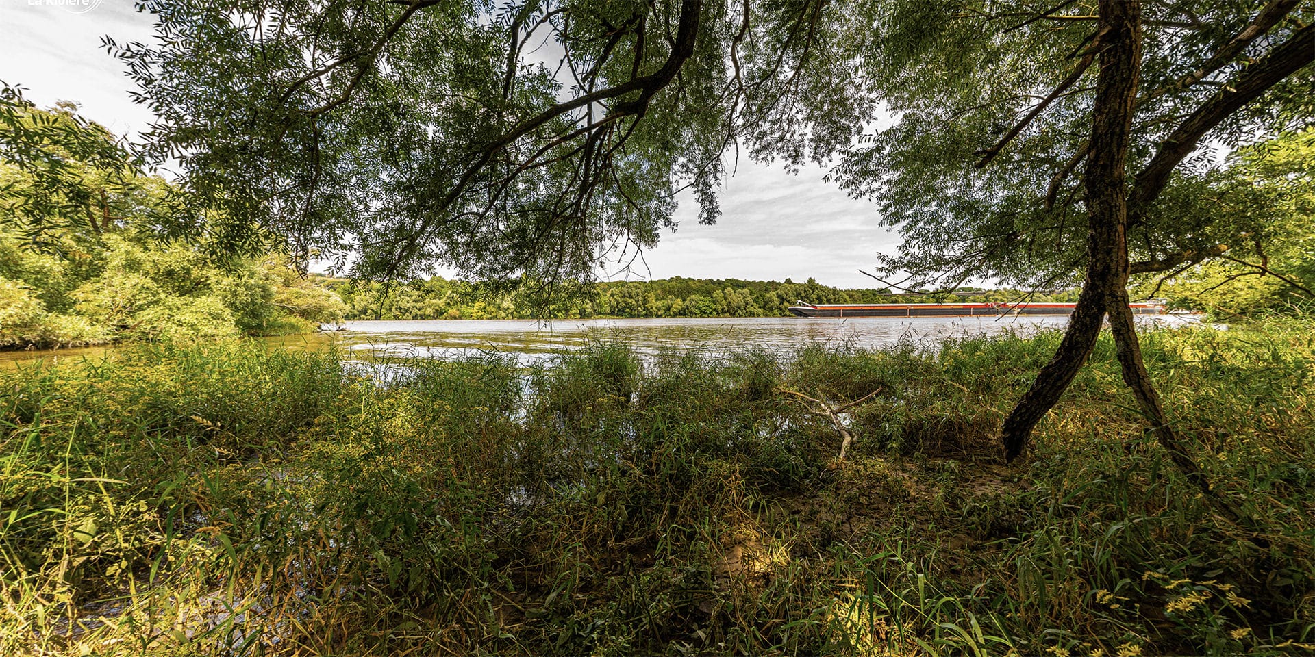 Vue au sol de la Seine depuis l’Île Sainte-Catherine, entre arbres et rivière
